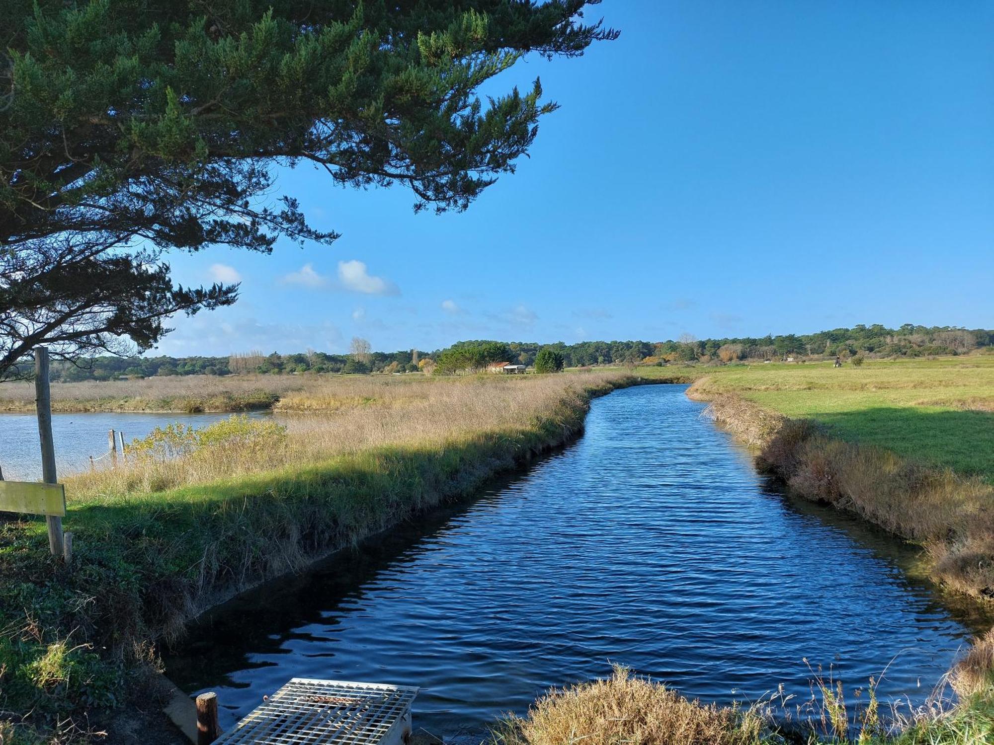 Studio La Salicorne Au Sables D'Olonne Les Sables-dʼOlonne Dış mekan fotoğraf