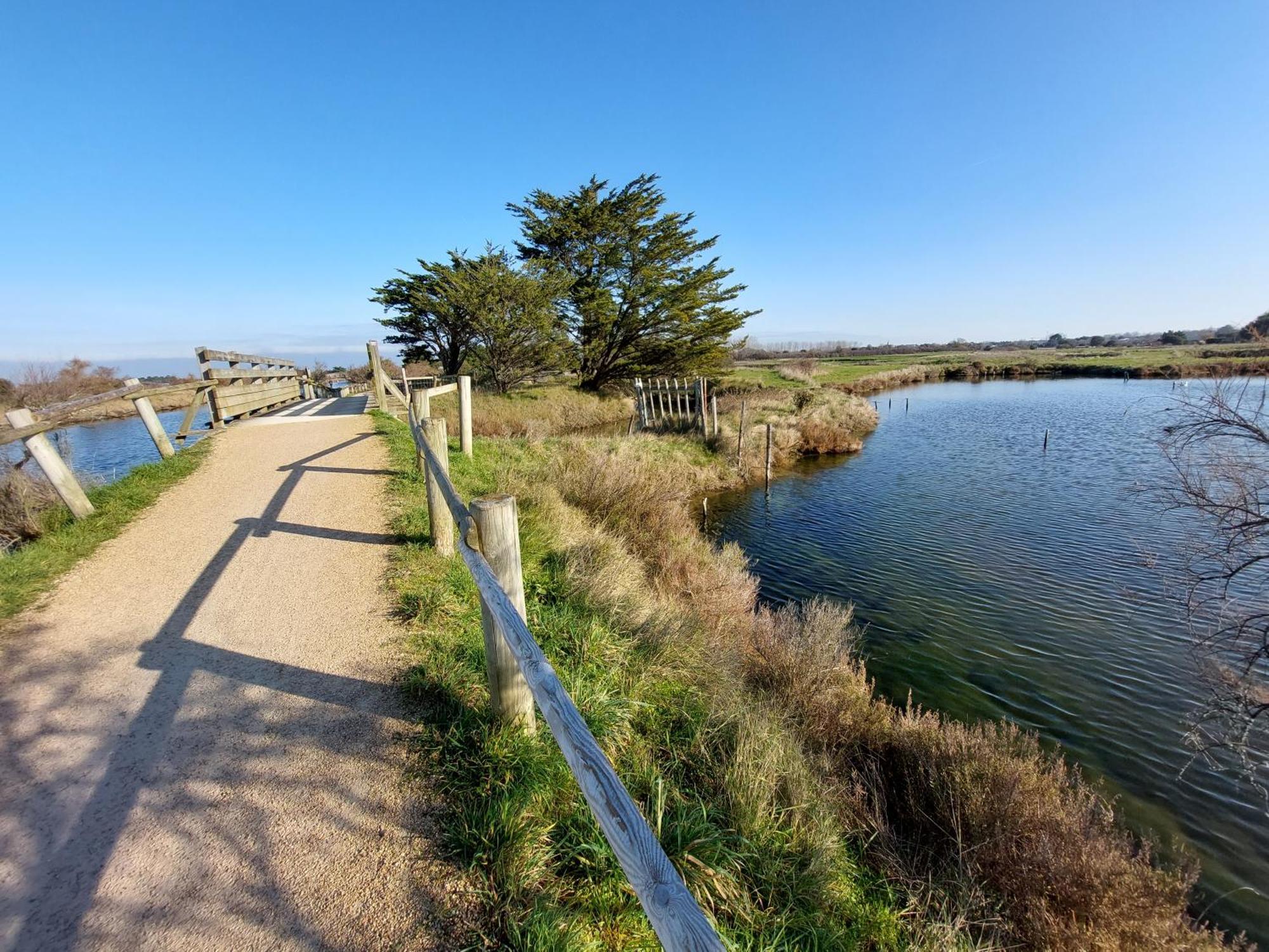 Studio La Salicorne Au Sables D'Olonne Les Sables-dʼOlonne Dış mekan fotoğraf